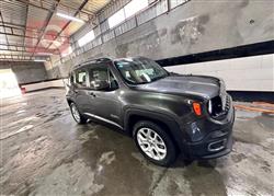 جيب رينيجيد